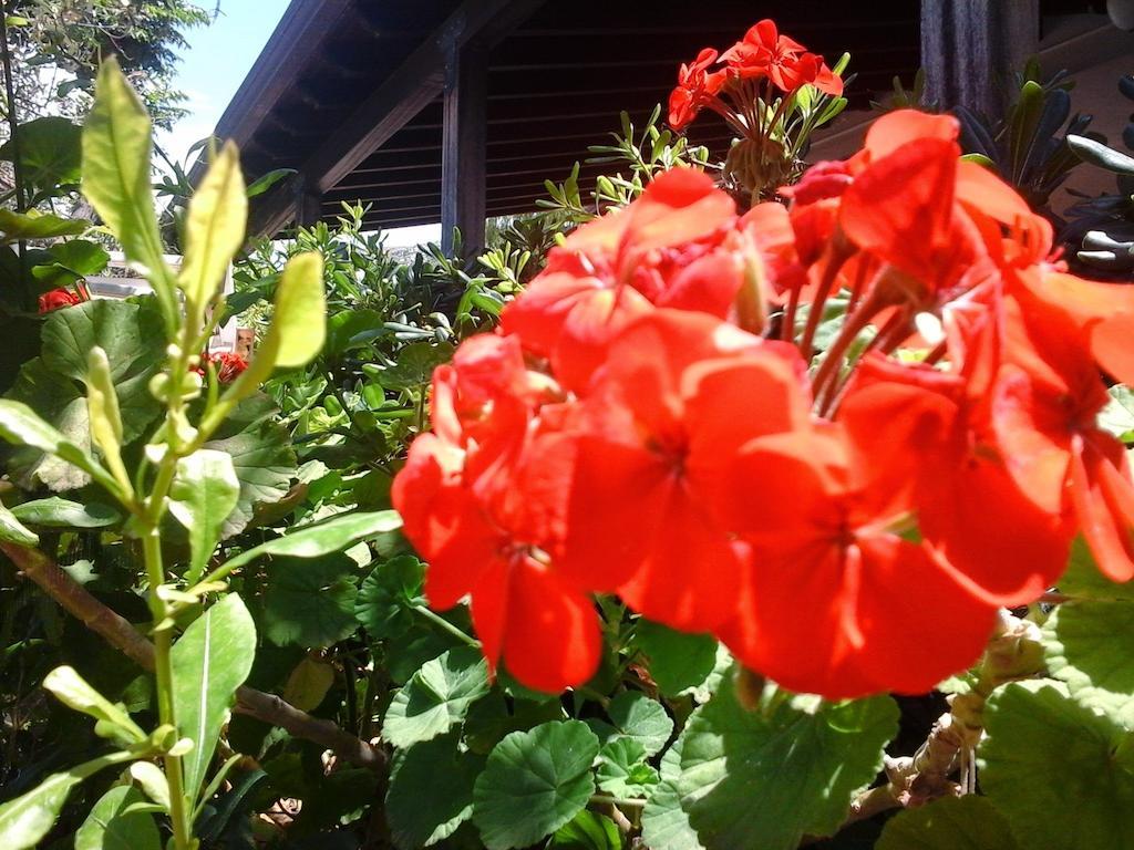 Nonnasara Bed And Breakfast Valderice Exterior photo